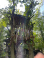 /album/mirakulum/img-9239-jpeg/