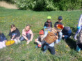 /album/fotogalerie-pampeliskovy-med/20fbd55c-c452-4745-ab5c-7927a72a025e-jpeg/