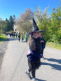 /album/carodejnice/img-0785-jpeg/