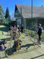 /album/carodejnice/img-0790-jpeg/