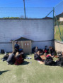 /album/carodejnice/img-0816-jpeg/
