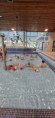 /album/plavani/20260609-081837-jpg/