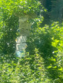 /album/branzez1/img-1225-jpeg/
